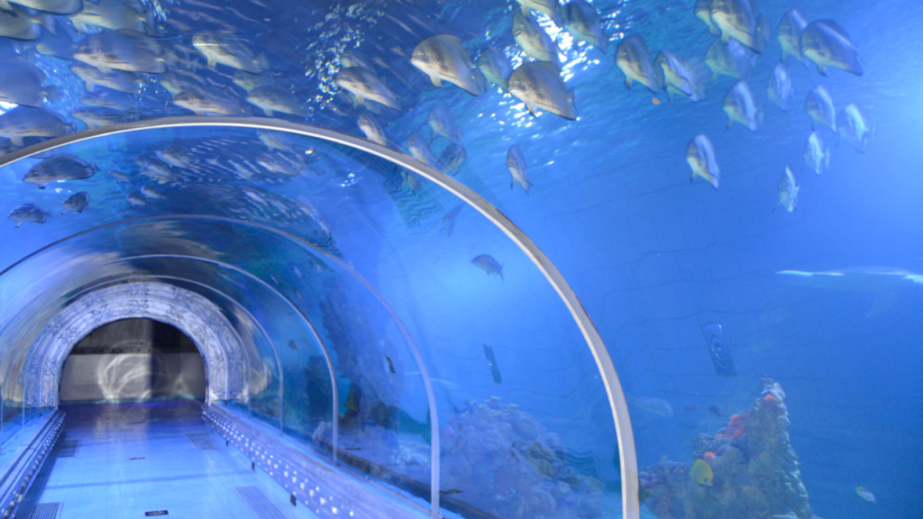 Grand Aquarium Hurghada